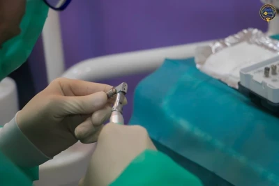 بدء المرحلة السريرية من دورة الزرع