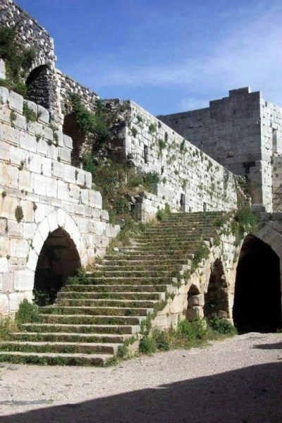 رحلة علمية ميدانية لطلاب الهندسة المعمارية تجمع بين التراث التاريخي والعمارة الطبيعية