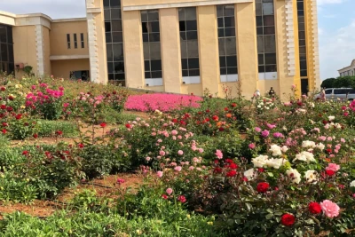 مدرج روماني وحدائق