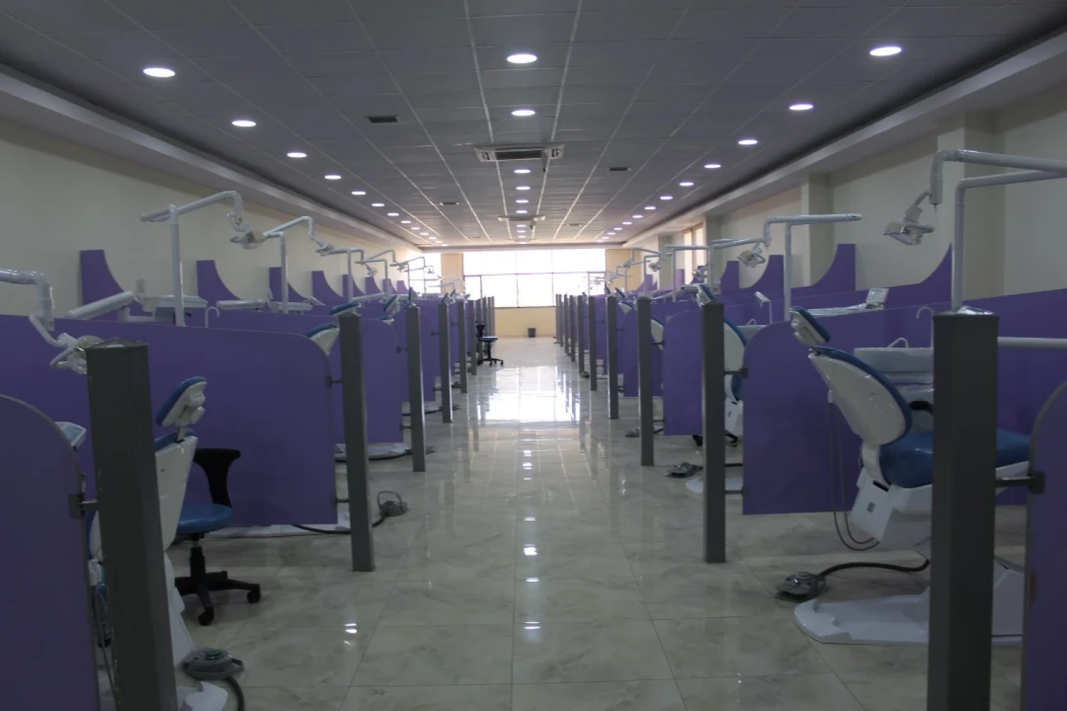 Dental Clinics